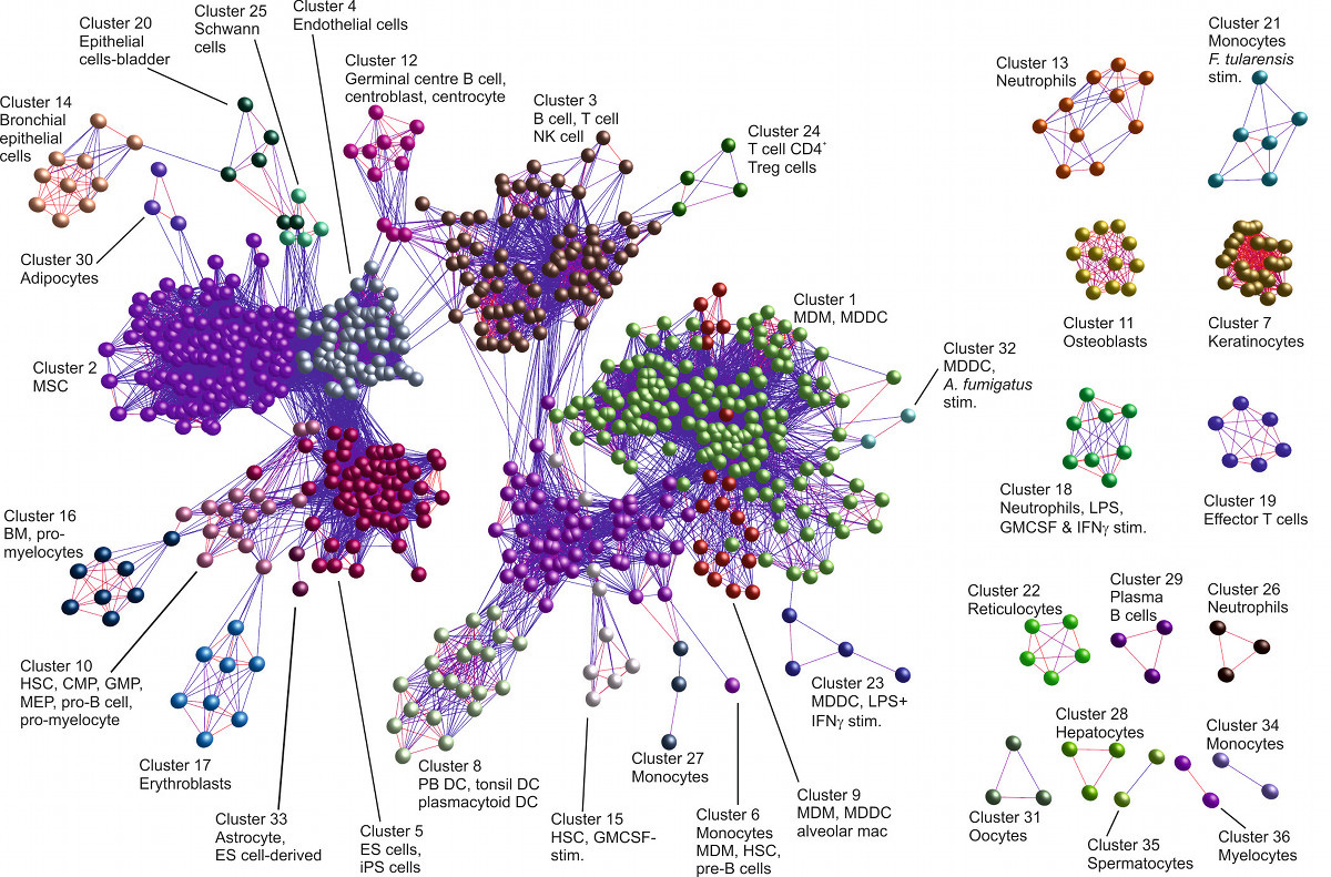 BioLayout Network