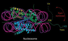 Kouzarides Research