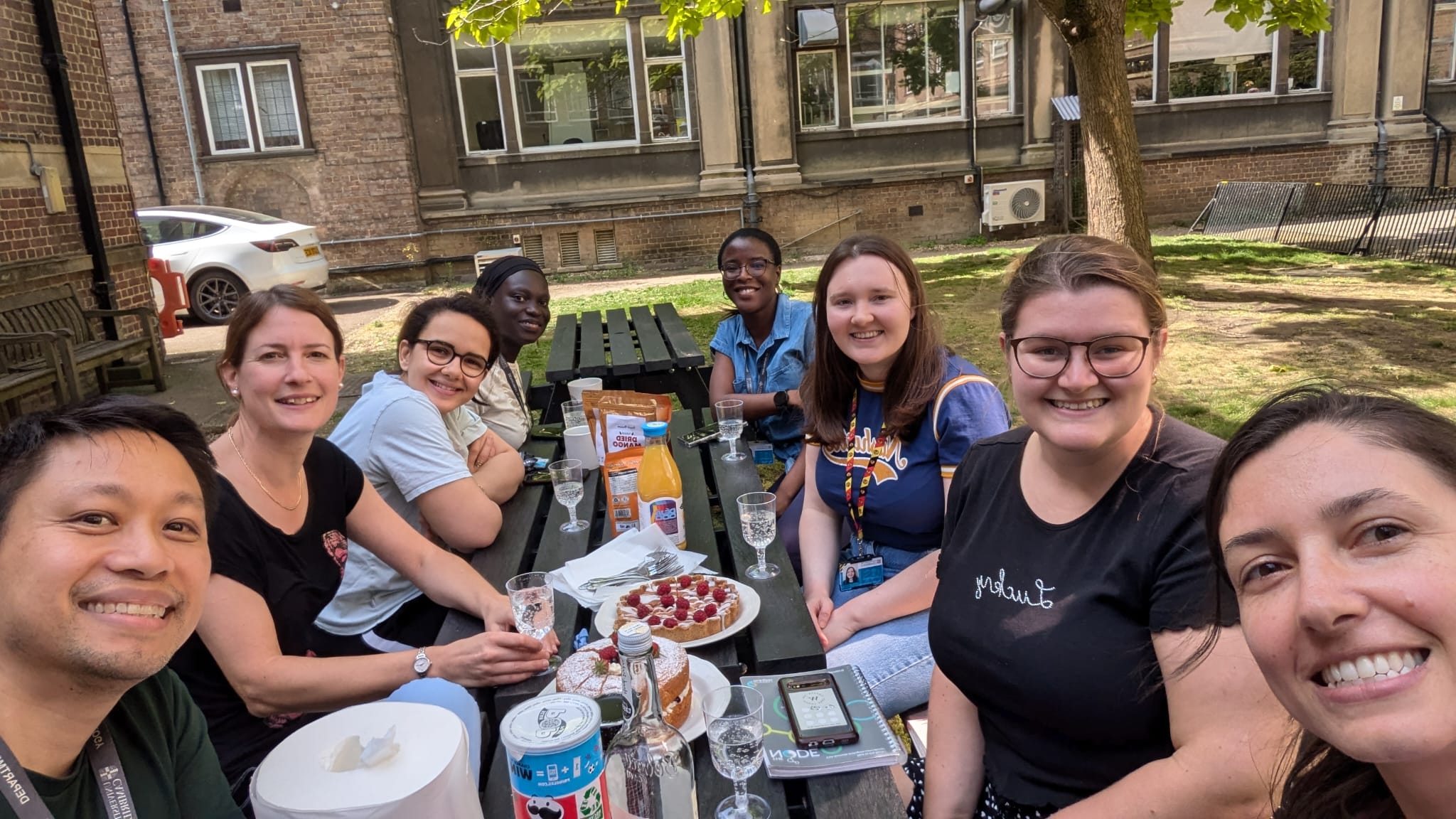Merrick lab cake