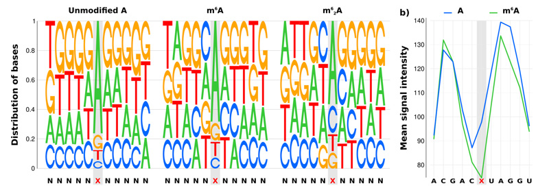 Nanopore direct RNA sequencing of methylated nucleotides in RNA