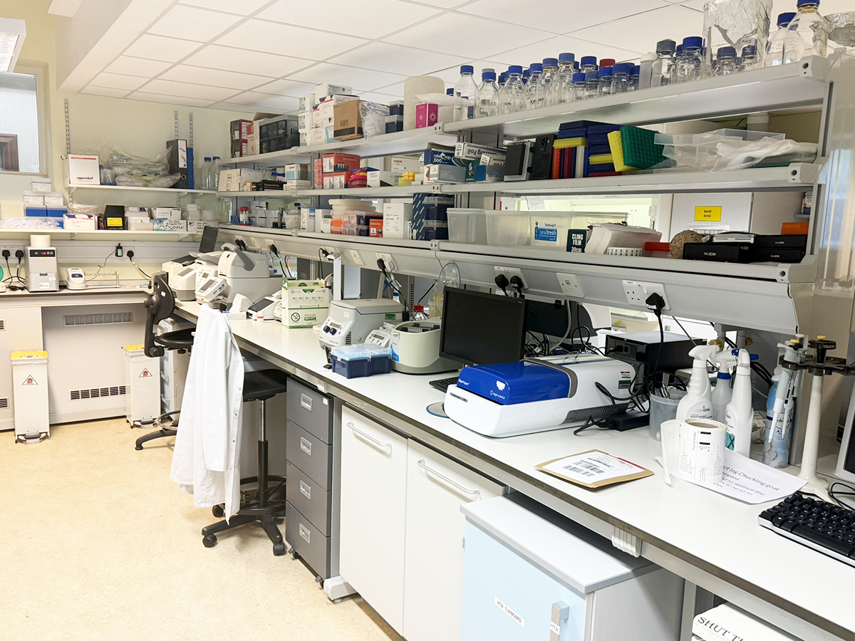Enright Laboratory Space