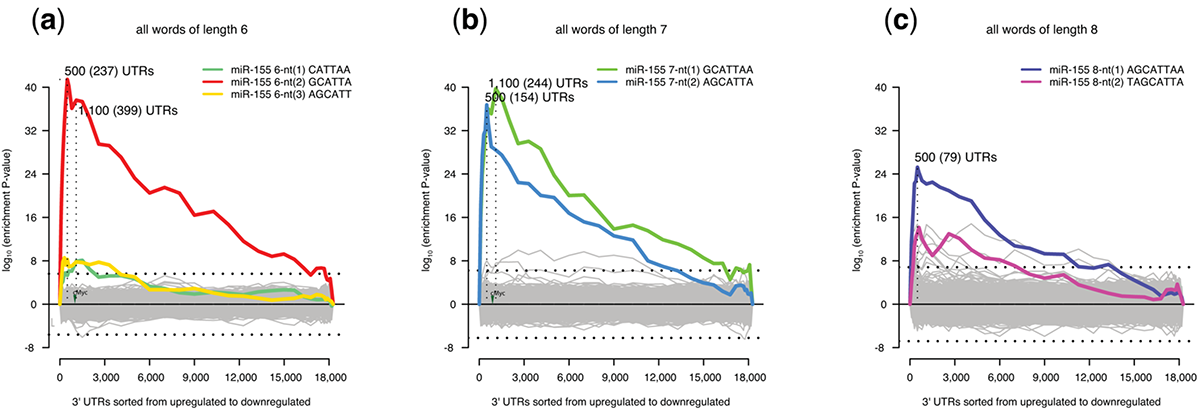 Sylamer analysis of microRNA effects in Zebrafish Development