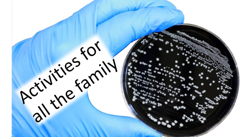 Gloved hand holding a petri dish