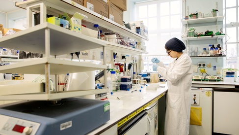 lab 