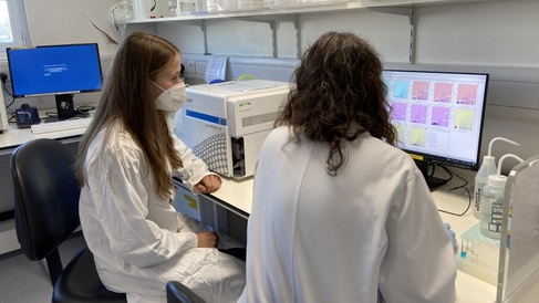 Analyser Training