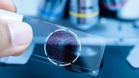 microscope slide