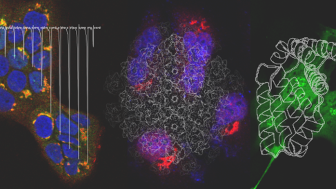 Atomic Virology 
