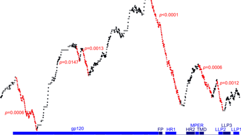 This analysis of the HIV-1 <em>env</em> gene for conservation shows a number of conserved regions (steep red descents), the largest of which is the well-known Rev-response element