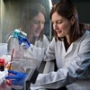 Professor Catherine Merrick
