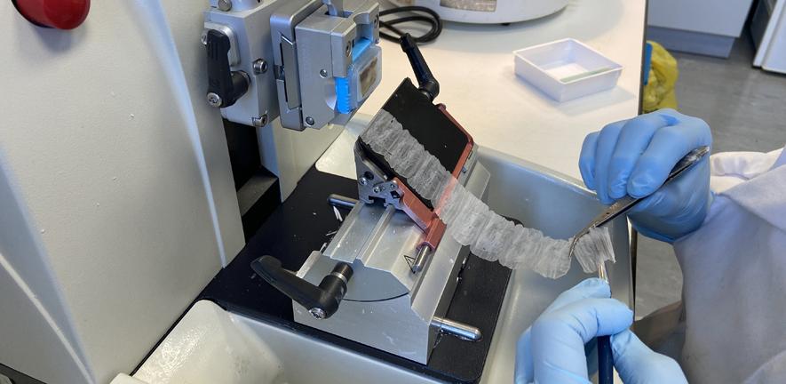 Making Histological sections using the parrafin technique