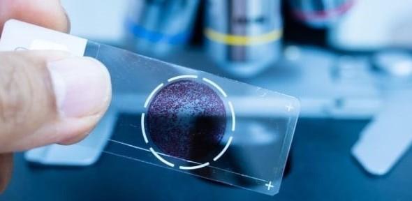 microscope slide microscope slide