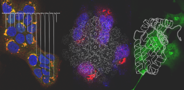 Atomic Virology Atomic Virology