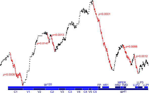 This analysis of the HIV-1 <em>env</em> gene for conservation shows a number of conserved regions (steep red descents), the largest of which is the well-known Rev-response element This analysis of the HIV-1 <em>env</em> gene for conservation shows a number of conserved regions (steep red descents), the largest of which is the well-known Rev-response element