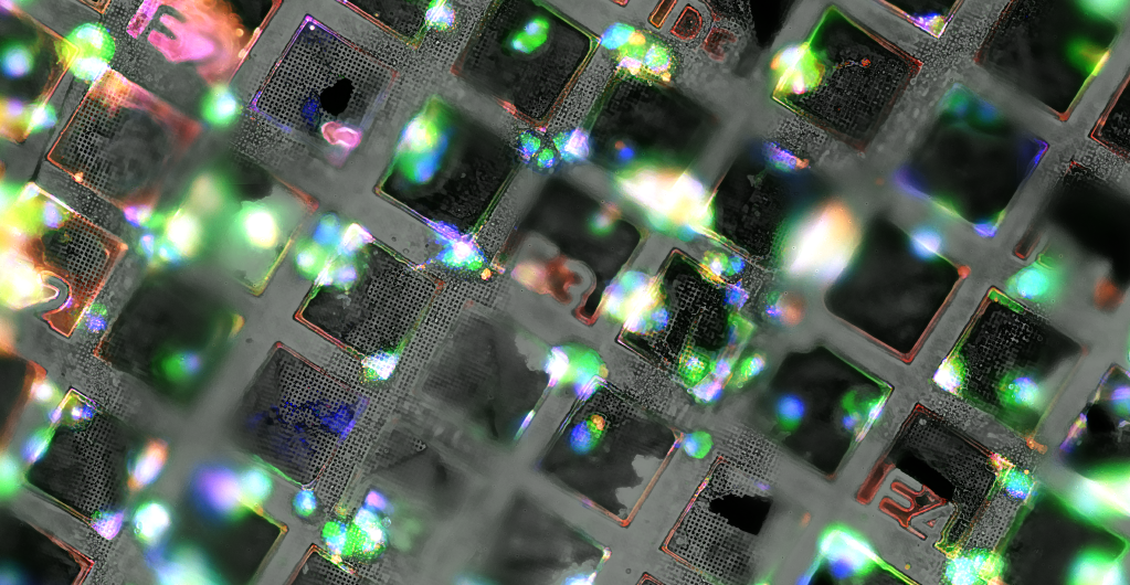 Cryo-Confocal Image